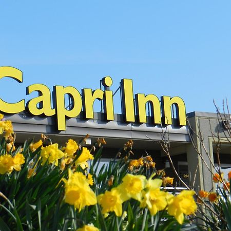 Capri Inn Sainte-Catherine Eksteriør billede