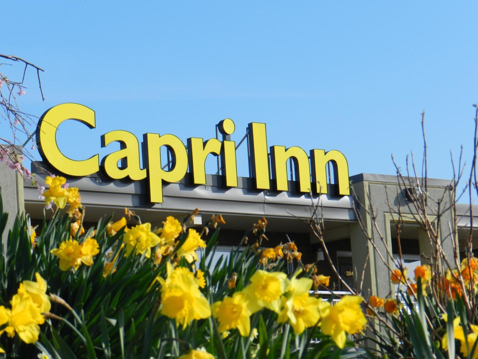 Capri Inn Sainte-Catherine Eksteriør billede
