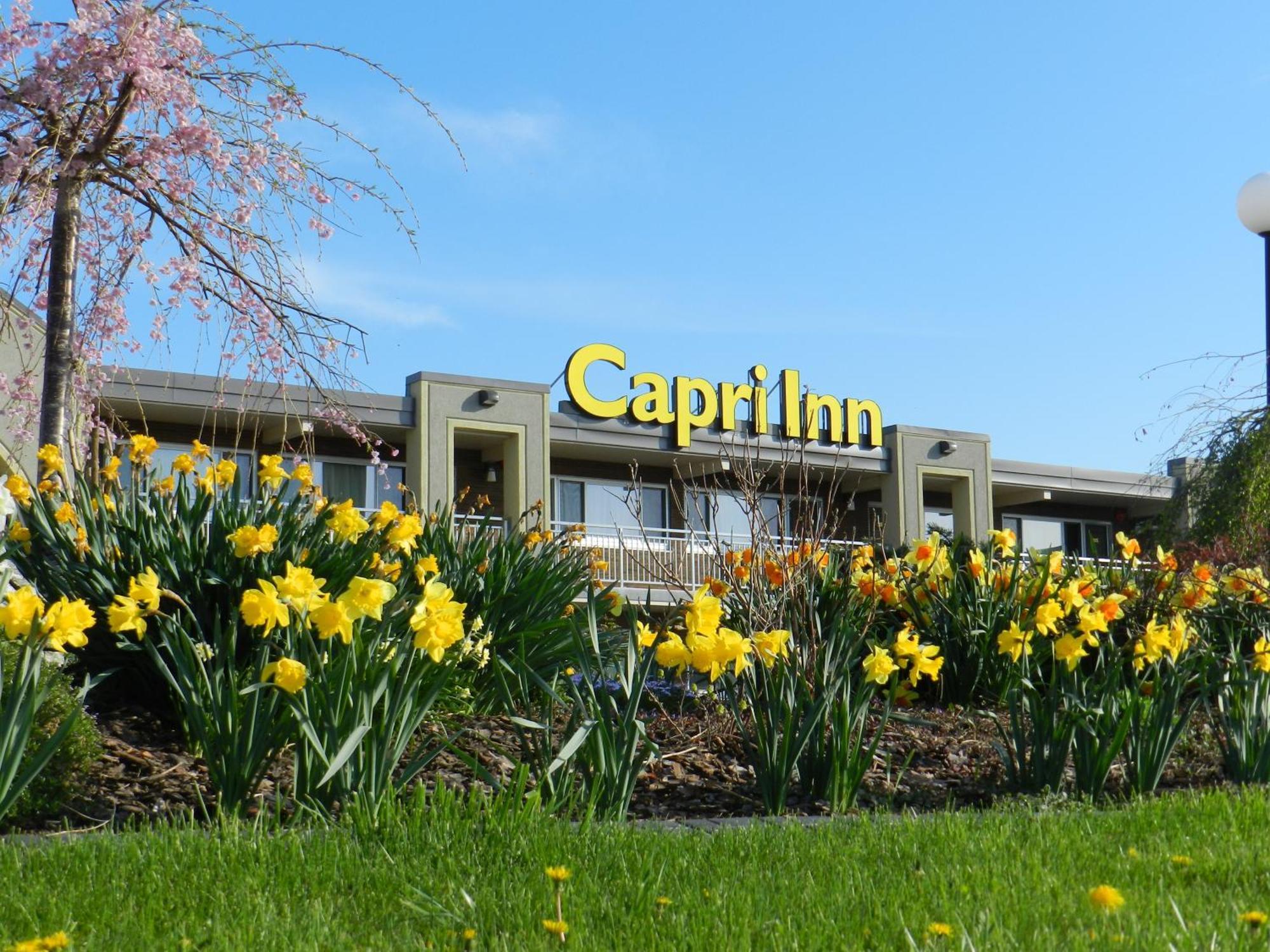 Capri Inn Sainte-Catherine Eksteriør billede