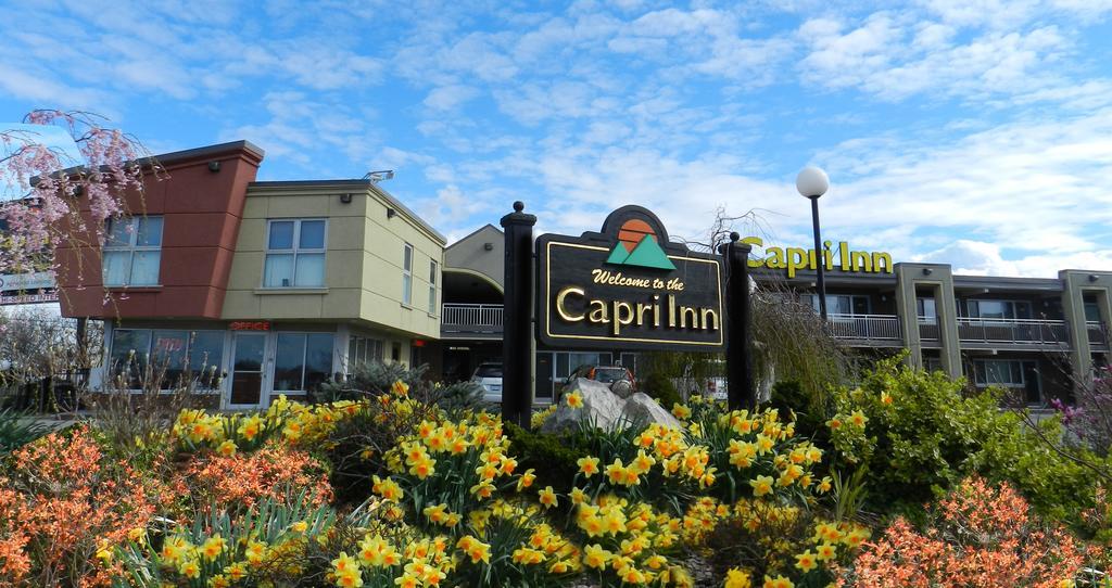 Capri Inn Sainte-Catherine Eksteriør billede