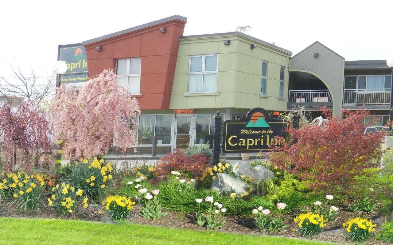 Capri Inn Sainte-Catherine Eksteriør billede